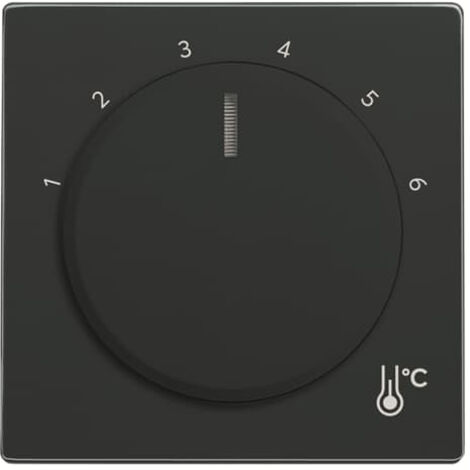 Busch-Jaeger Zentralscheibe 1794 R-81 Temperatur rund