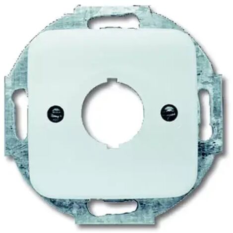 Busch-Jaeger Zentralscheibe aws 2534-214