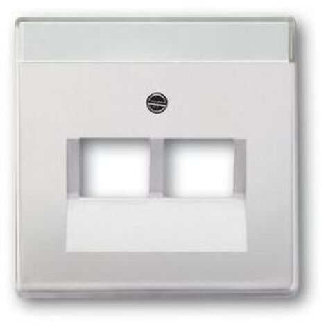 Busch-Jaeger Zentralscheibe eds f.UAE-Anschlussdo.2f 1803-02-866