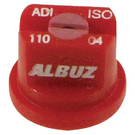 Buse ALBUZ ADI11004