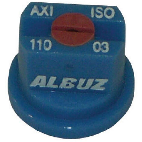 Buse ALBUZ AXI11003