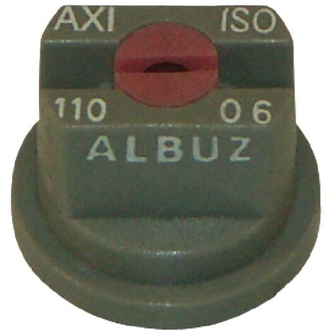 Buse ALBUZ AXI11006