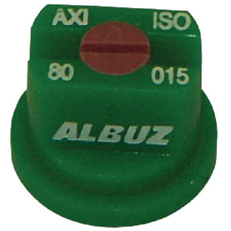 Buse ALBUZ AXI80015