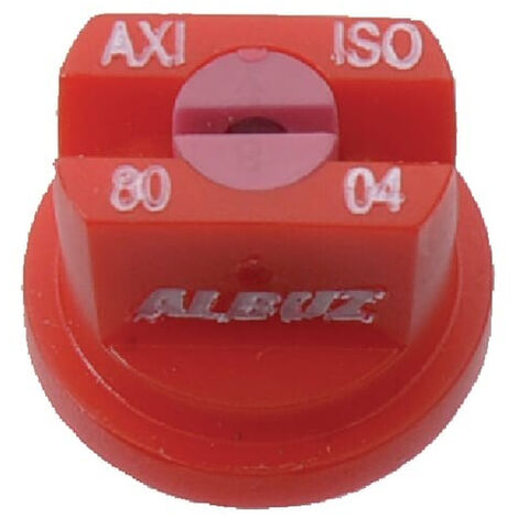 Buse ALBUZ AXI8004