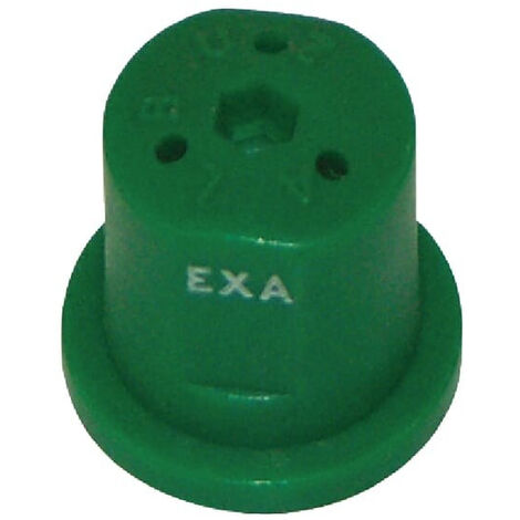 Buse ALBUZ EXAGREEN