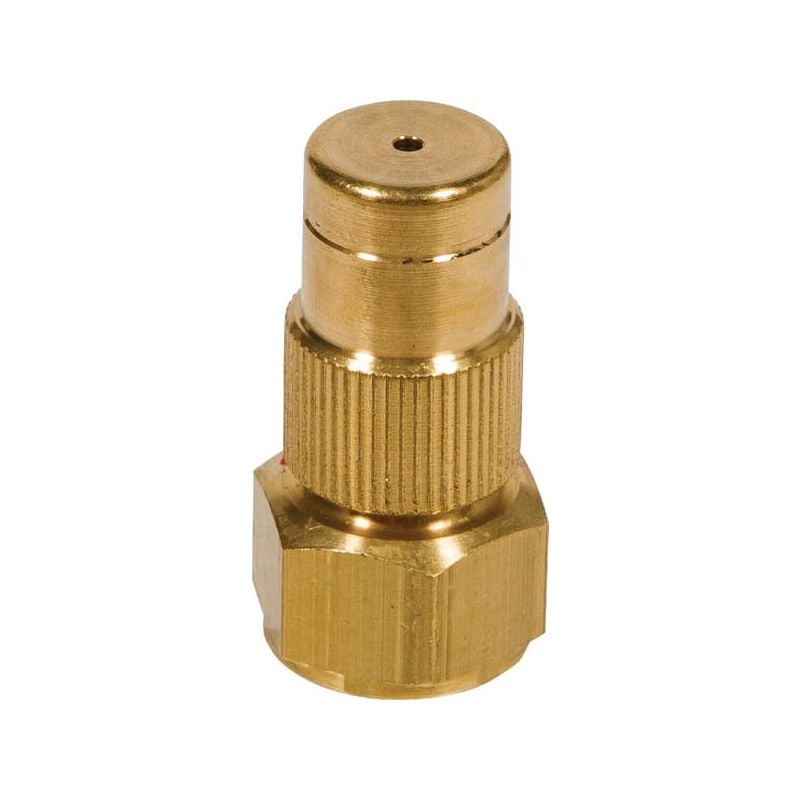 Buse Birchmeier 28502597SB