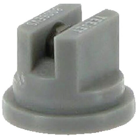 Buse TEEJET TP8006EVS