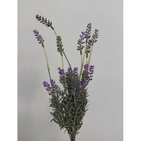 Bush Lavanda 40cm