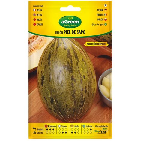 Busta con semi di melone toadskin Torpedo 000472BOLSH Agreen