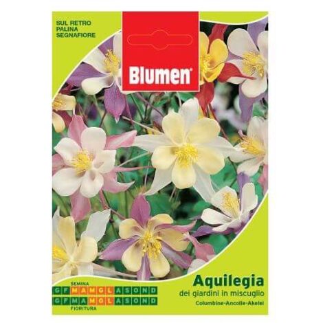 BUSTINA CON SEMI DI AQUILEGIA DEI GIARDINI IN MISCUGLIO