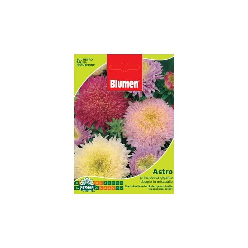Blumen - sachet avec astro seeds princess giant double mix