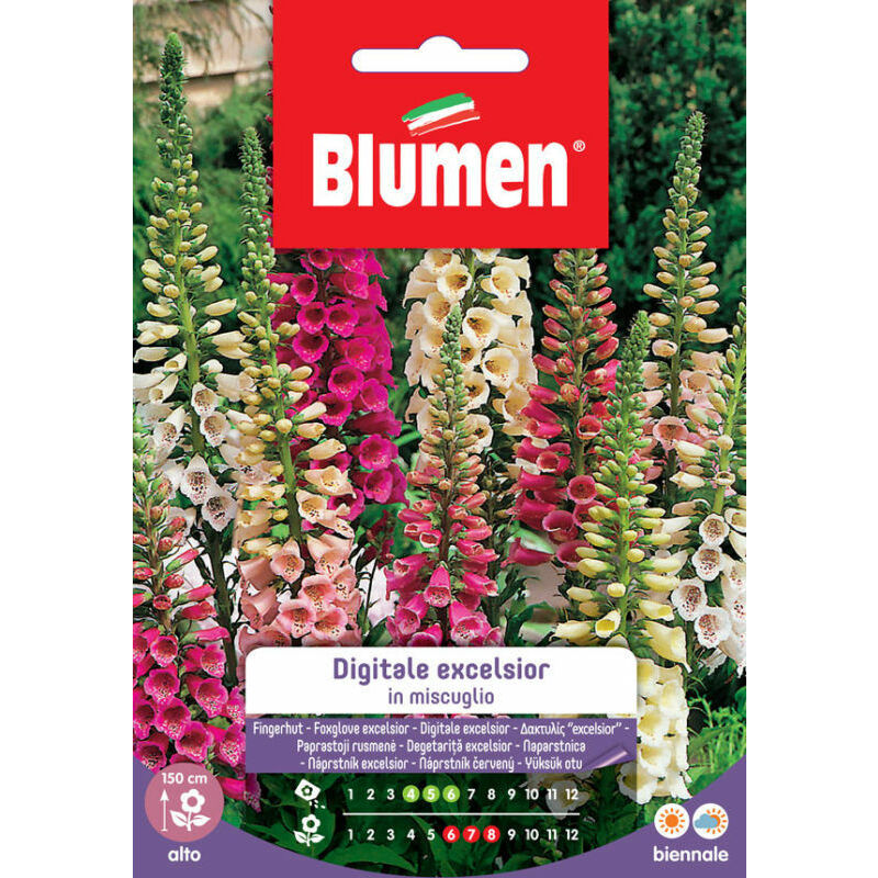 Blumen - sachet aux graines de digital excelsior mixte