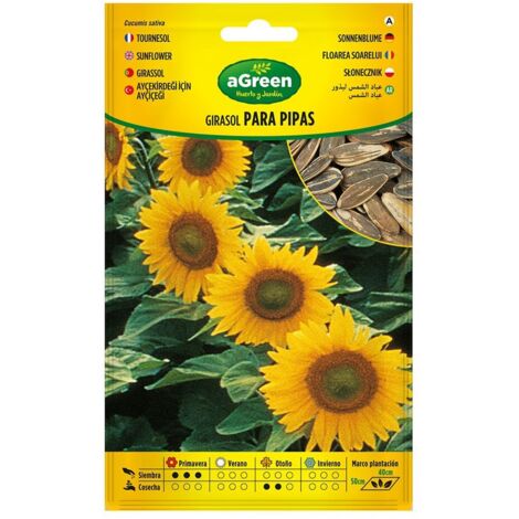 Bustina con semi di girasole per pipe 301024BOLSH Agreen