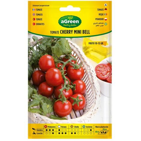 Bustina con semi di pomodoro Mini Bell (tipo ciliegino) 000719BOLSH Agreen