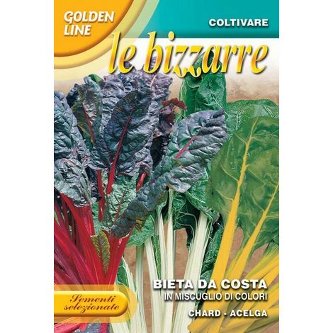 BUSTINA MISCUGLIO DI BIETA DA COSTA COLORATE ORTO GIARDINO SEMI