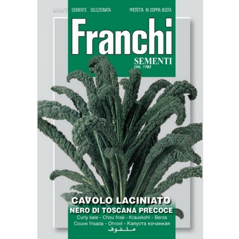 Semi cavolo laciniato nero di toscana doppia busta franchi