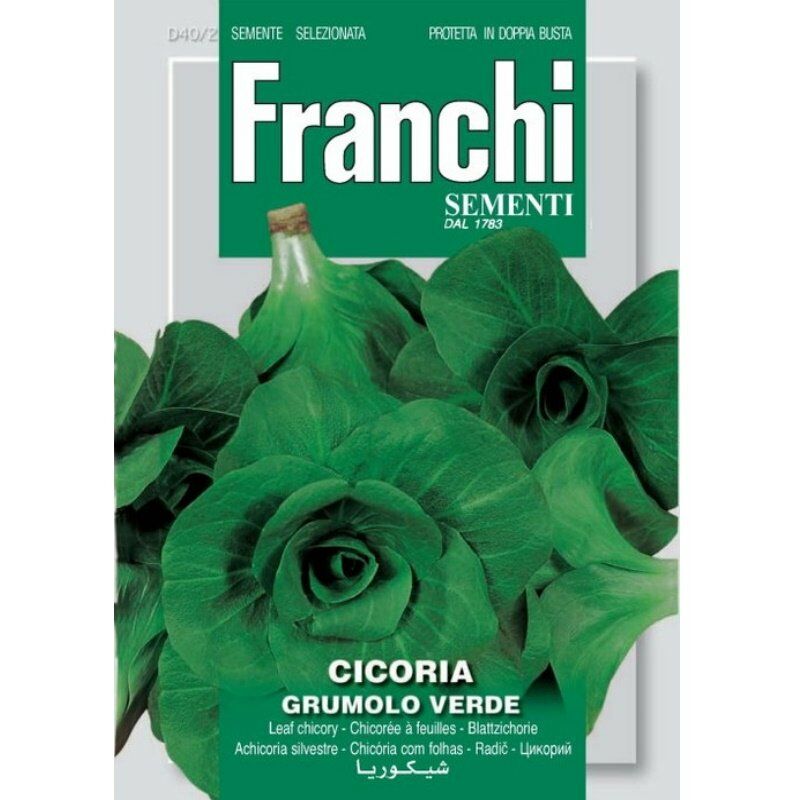 Una immagine