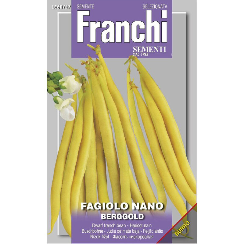 Semi fagiolo nano berggold franchi sementi