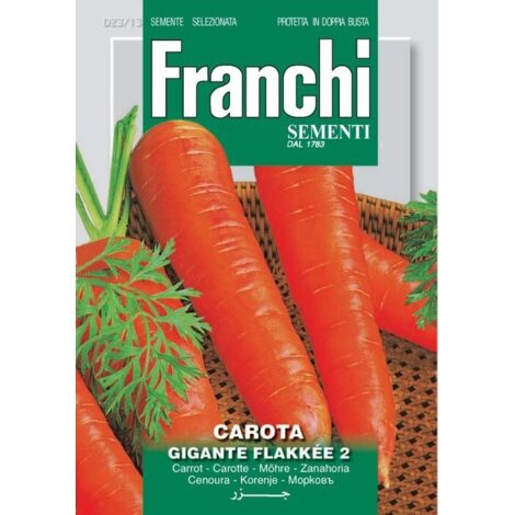 BUSTINA SEMI DI CAROTA GIGANTE FLAKKEE' N.2 ORTO GIARDINO SEMI