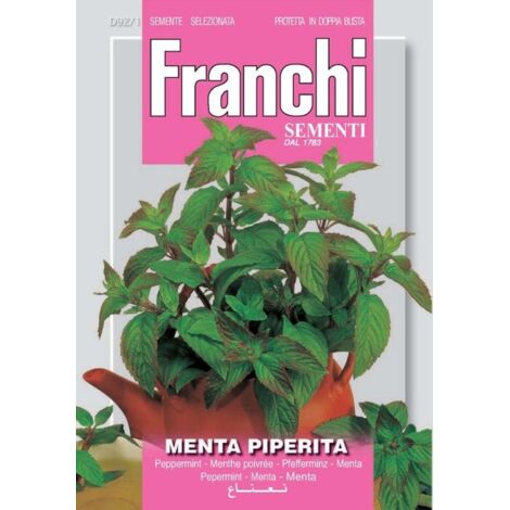 BUSTINA SEMI DI MENTA PIPERITA ORTO GIARDINO SEMI