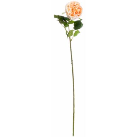 Butter Portland Rose Artificial Flower - L7 x W12 x H72 cm