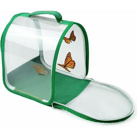 Butterfly Habitat Insect Cage Portable Insect Terrarium Asa de transporte 8 "x 8" LYLM