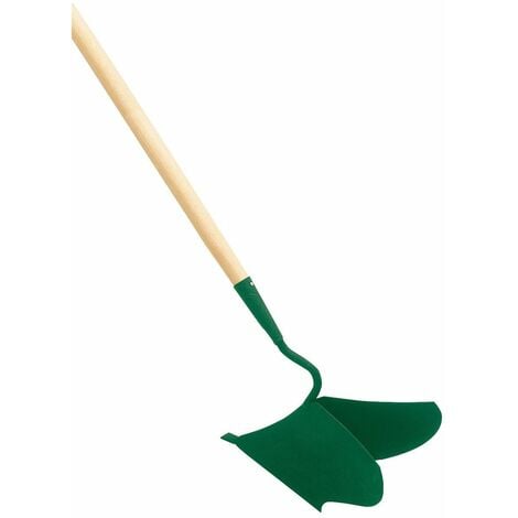 Butteur rayonneur Cap Vert