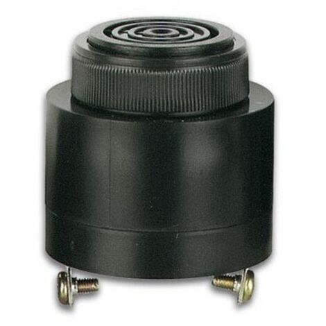 Buzzer ca/cc 220v type a visser