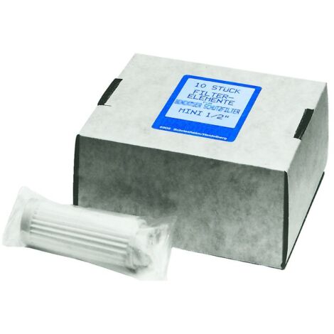 BWT Faltenfilterelement für Schutzfilter Mini 1/2" 30µm
