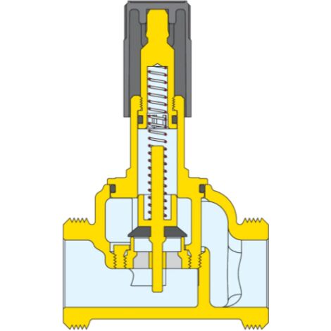 By-pass differenziale, per gruppi serie 165,166 e 167 Caleffi 519006 1"M