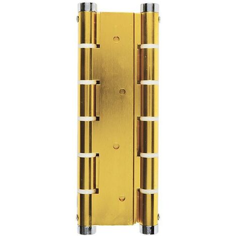 BYP bisagra doble accion vaiven u5914 oro  medidas 180x133x4mm.