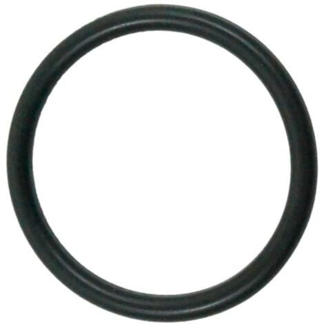 PENTAIR Bypass/zähler O-ring Für Fleckenventil 5600 / 5800
