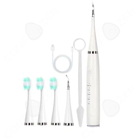 C à dents électrique 500mah IPX6 jet dentaire hydropulseur portable avec 3 têtes de ,2 têtes de nettoyage,miroir