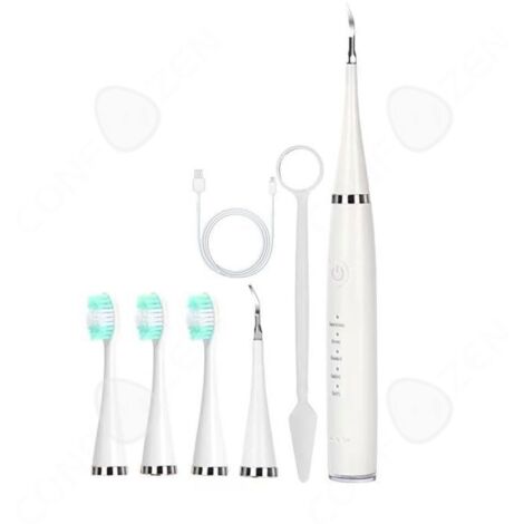 C à dents électrique 500mah IPX6 jet dentaire hydropulseur portable avec 3 têtes de ,2 têtes de nettoyage,miroir
