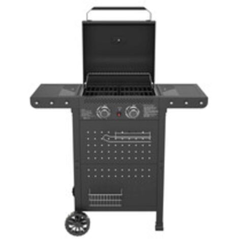 C BARBECUE A GAS 2 FUOCHI HOT 2