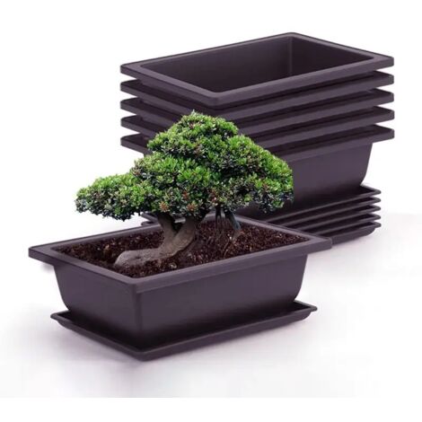 (C Hexagonal L) Plateau à bonsaï d'extérieur, pots carrés et rectangulaires en argile violette imitation pour plantes succulentes

Pots pour plantes
