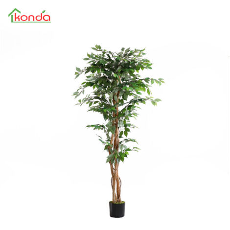 C PIANTA FICUS ARTIFICIALE 180 CM- 2,0 pz