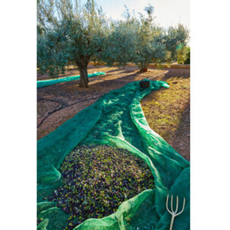 C RETE P/OLIVE ANTISPINA 80G  4X 8M