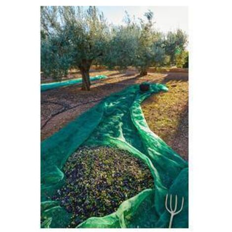 C RETE P/OLIVE ANTISPINA 80G  7X50M