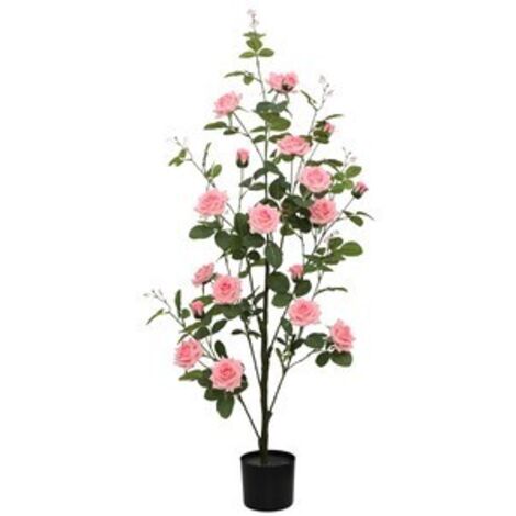 C ROSA 130 CM