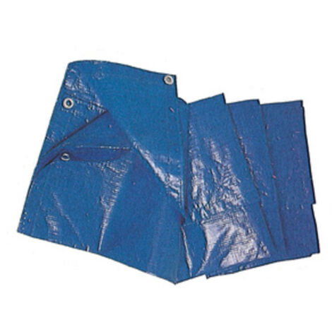 C TELO OCCHIELLATO PE 8 X10M 85GR BLU- 1,0 pz