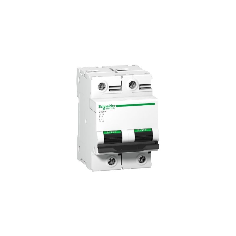 

C120N 2P 63A C 10000A 415V Miniature Cir Schneider Electric A9N18360