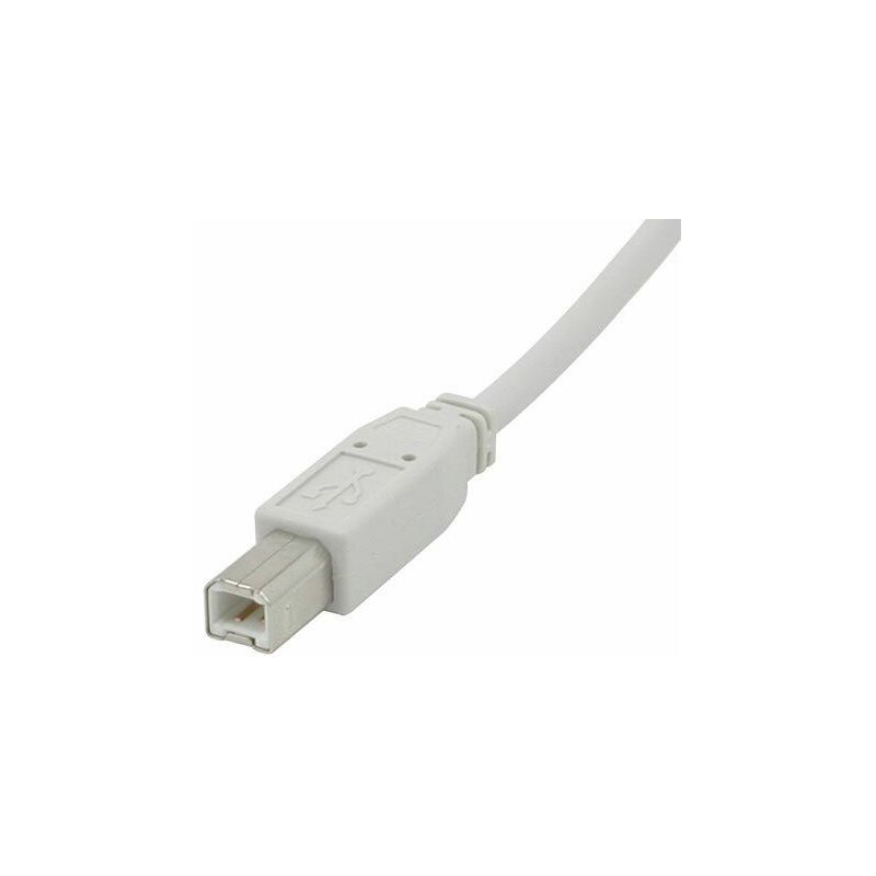 

2.0 A/B de 2 m, color blanco cable USB - C2G