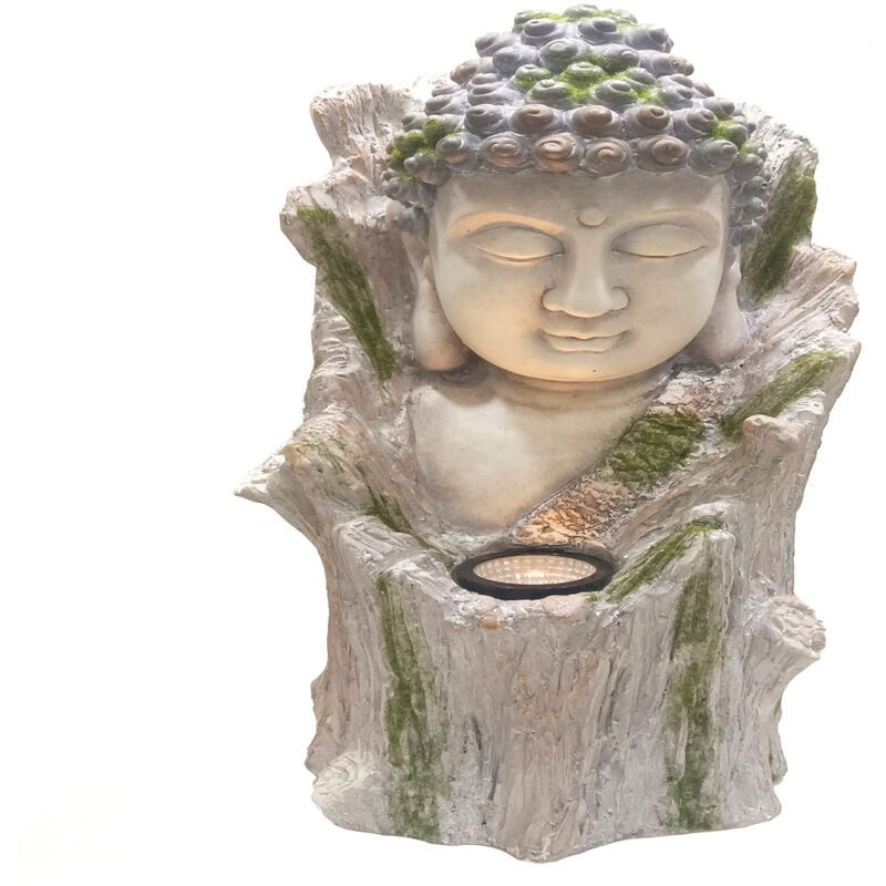 Fplus - Tronc solaire de la tête de Bouddha 54549