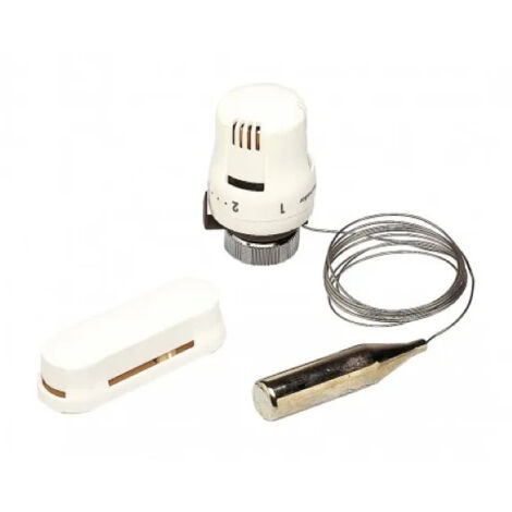 Cabeza termostática con sensor remoto (2M)