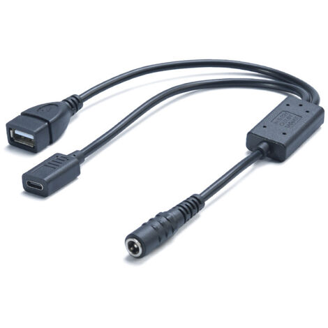 Câble adaptateur secteur abaisseur de tension CC femelle 5521 vers USB-C femelle + USB femelle 1 vers 2, câble de charge 3 A