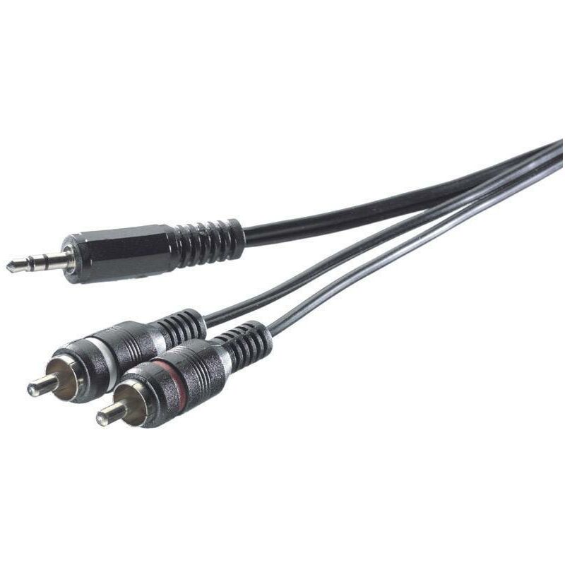 Speaka Professional - Câble adaptateur Speaka jack 3,5 mm / 2 fiches mâles rca 3 m SP-7870368 [2x Cinch-RCA mâle - 1x Jack mâle 3.5 mm] 3.00 m noir