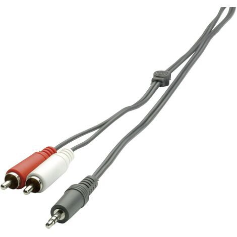 Câble audio SpeaKa Professional SP-1300360 [2x Cinch-RCA mâle - 1x Jack mâle 3.5 mm] 2.00 m noir Y53707
