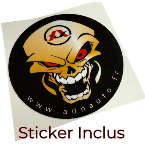 ADNAUTO Cable Autoradio IA172 Prology 20PIN Vers ISO