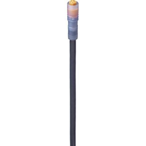CÂBLE DE RACCORDEMENT M8 LUMBERG AUTOMATION RKM 5-507/5 M 934871014-1 FEMELLE, DROIT 5.00 M NOMBRE DE PÔLES: 5 1 PC(S)